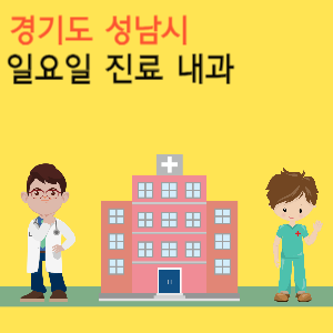 경기도 성남시 일요일 진료 내과