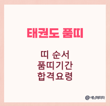 태권도 품띠 띠 순서 품띠기간 합격요령 승급