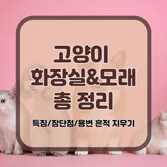 고양이 화장실 종류 고양이 모래 추천