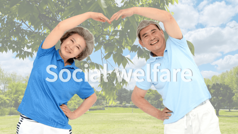 노인 보건 복지 정책 사업