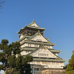 오사카 자유여행