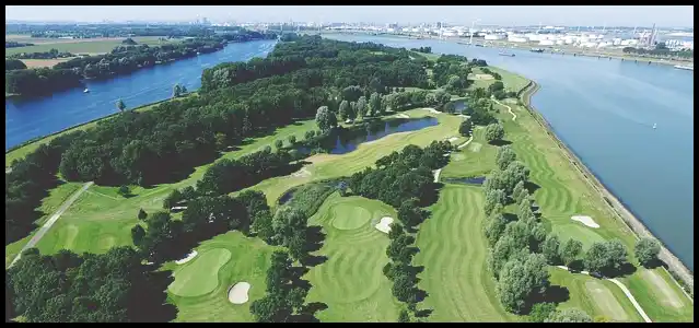 파크골프채 가격 추천 (혼마, 피닉스, 미즈노)