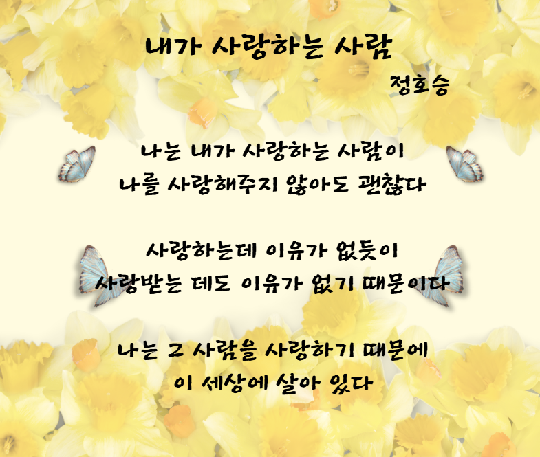 내가 사랑하는 사람 정호승