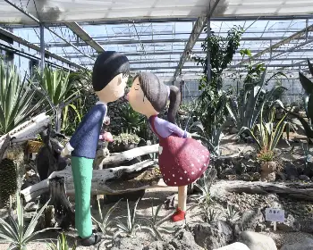 함평 국화축제_17