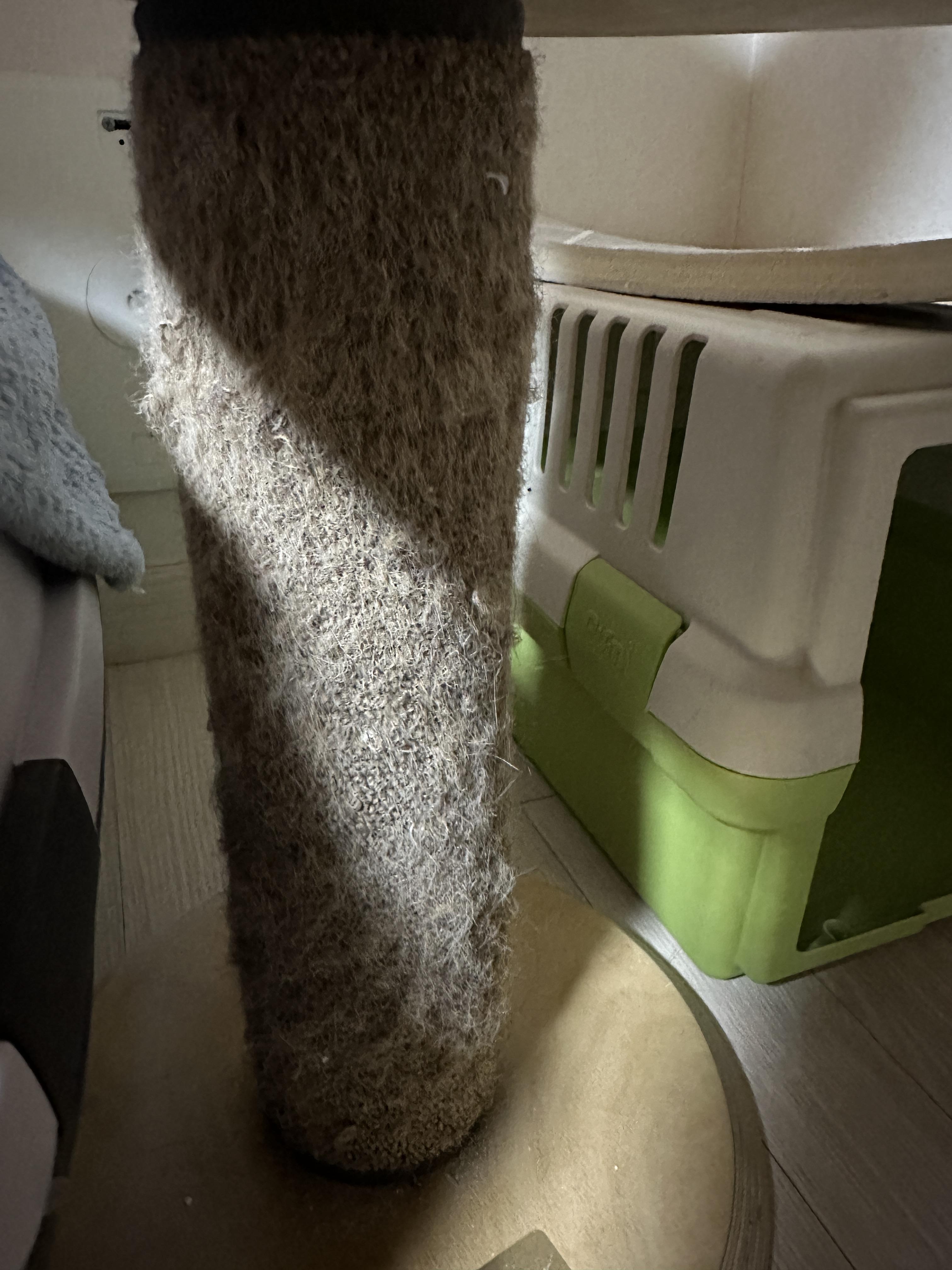 디어캣 캣폴 기둥 스크래쳐 카펫을 교체했다 (feat.신난 냥냥이들 반응)