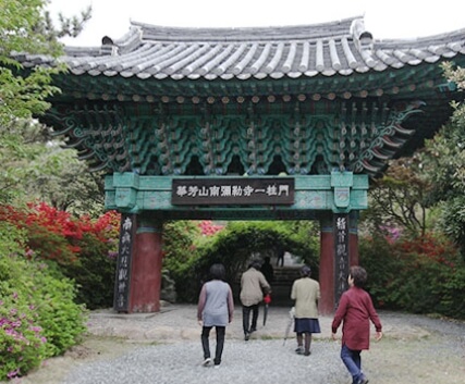 강진 남미륵사 : 전라남도 강진에서 만나는 한국 최대 미륵불 도량