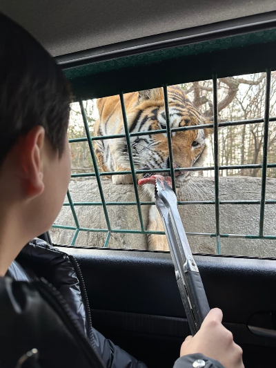 사파리 월드 먹이 체험