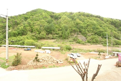 6시 내고향 충북 괴산 버섯전골 & 닭볶음탕 맛집 갈론주막펜션