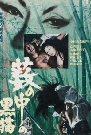 수풀 속의 검은 고양이 포스터