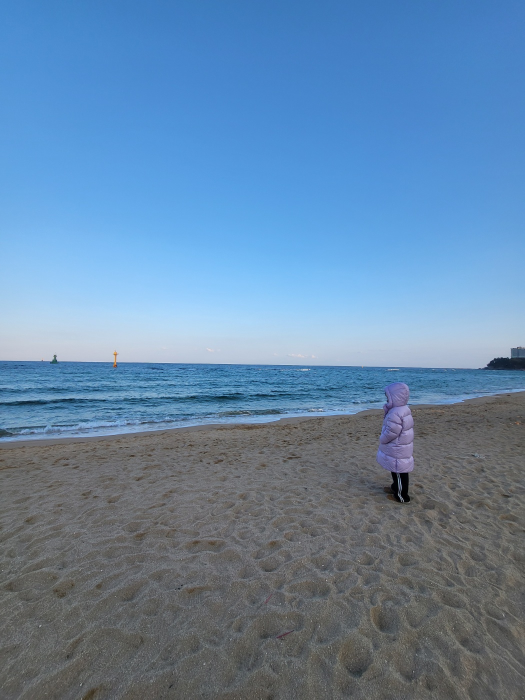 속초아이 대관람차 탑승 후기: 꼭대기에서 느낀 아찔한 공포! 이용 요금 및 속초 바다여행기