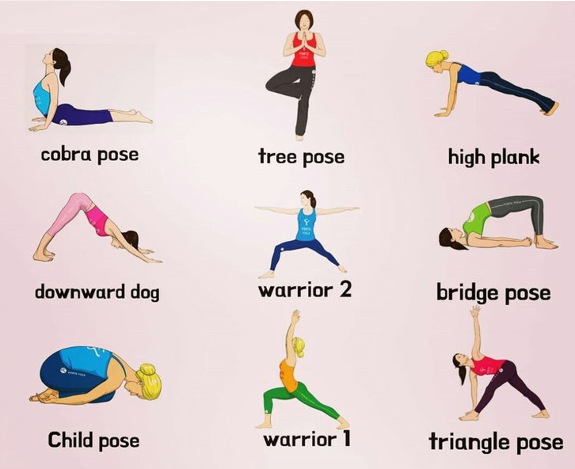 대표적 요가 9동작