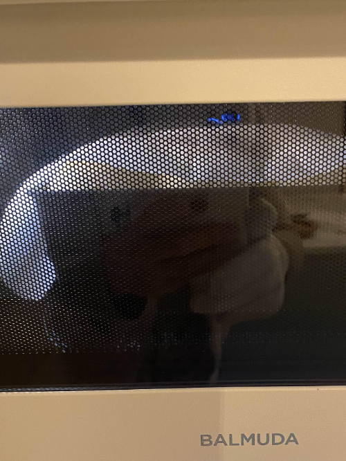 발뮤다 더레인지 베이킹