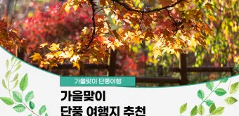 가을 단풍 여행지 베스트10 산책로 사진스팟 대중교통으로 여유롭게_18