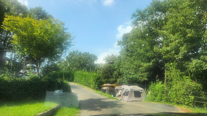 중앙사이트 5번