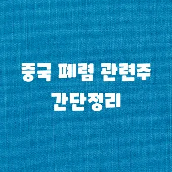 중국폐렴 대장주 관련주 TOP5 총정리_21
