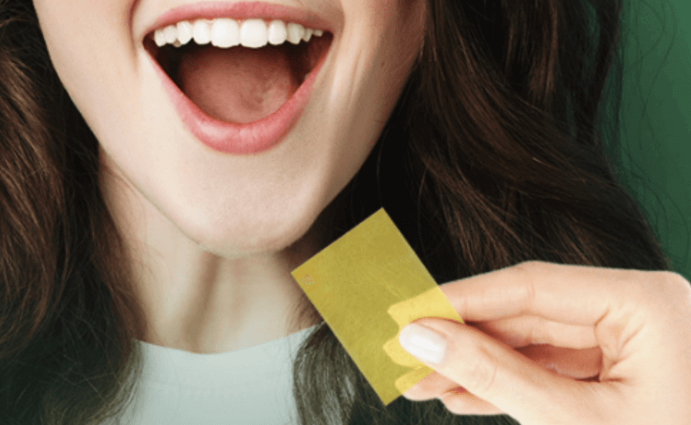 프로테오글리칸 필름