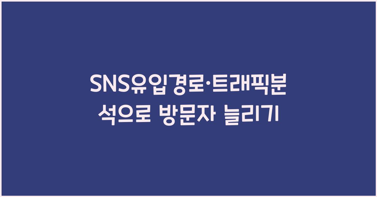 SNS유입경로·트래픽분석