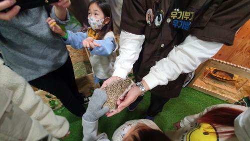 고슴도치