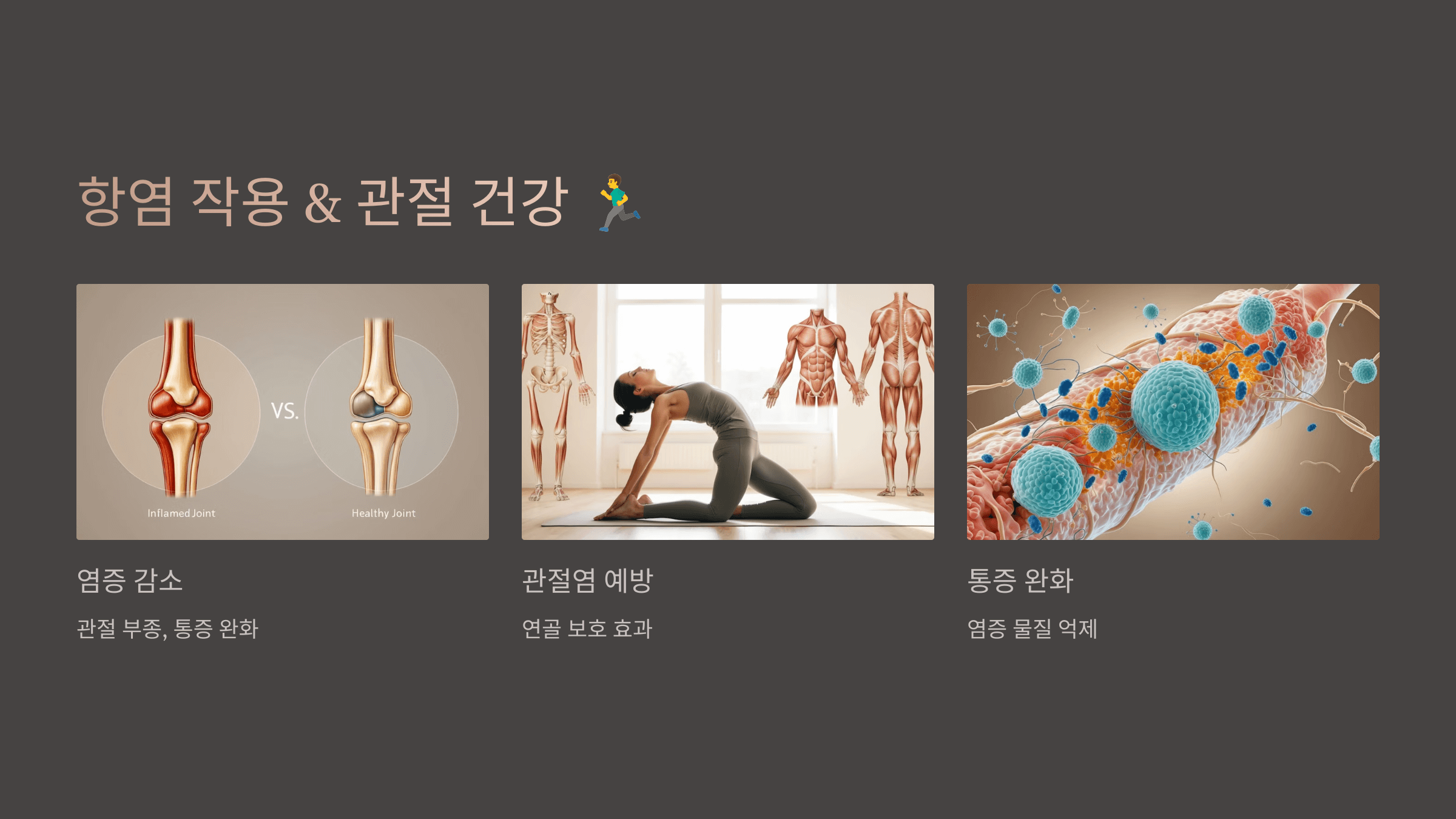 폴리페놀과 관련된 사진입니다.
