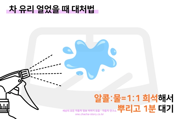 차-유리-얼었을-때-알콜과-물을-1대1로-희석해서-뿌리고-1분-대기해-줍니다
