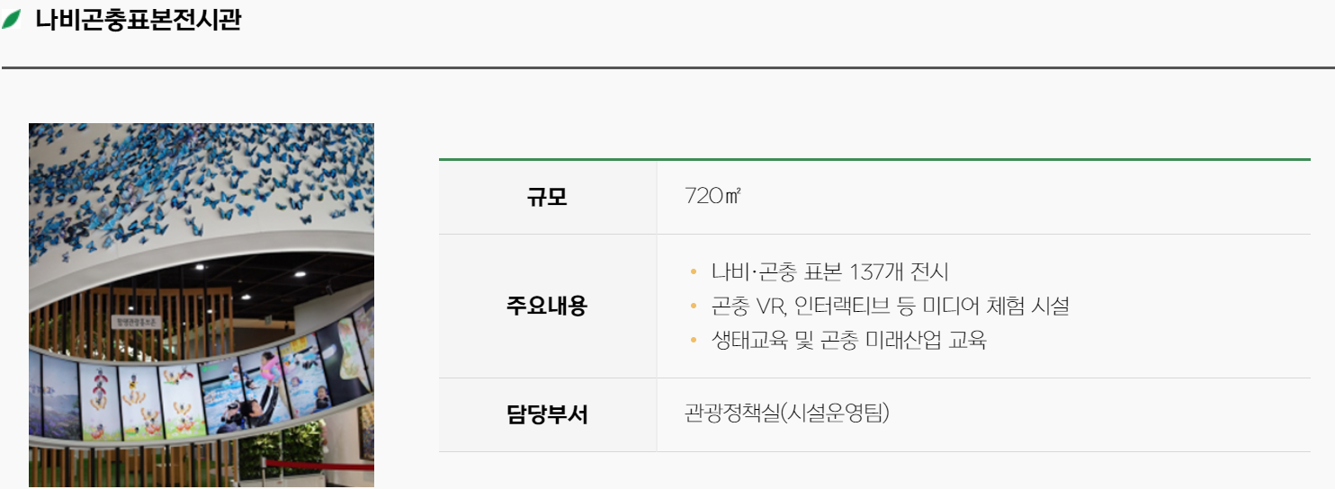 함평 나비축제