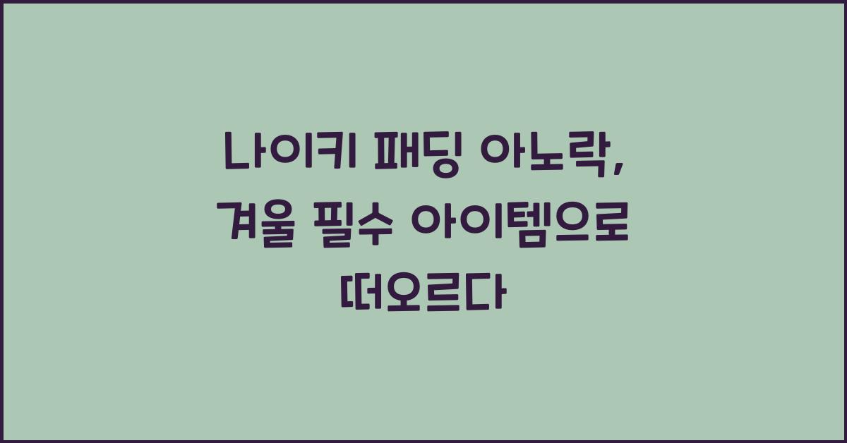 나이키 패딩 아노락