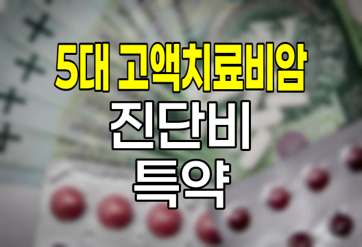 농협손해보험 5대 고액치료비암진단비 특약 심층 분석