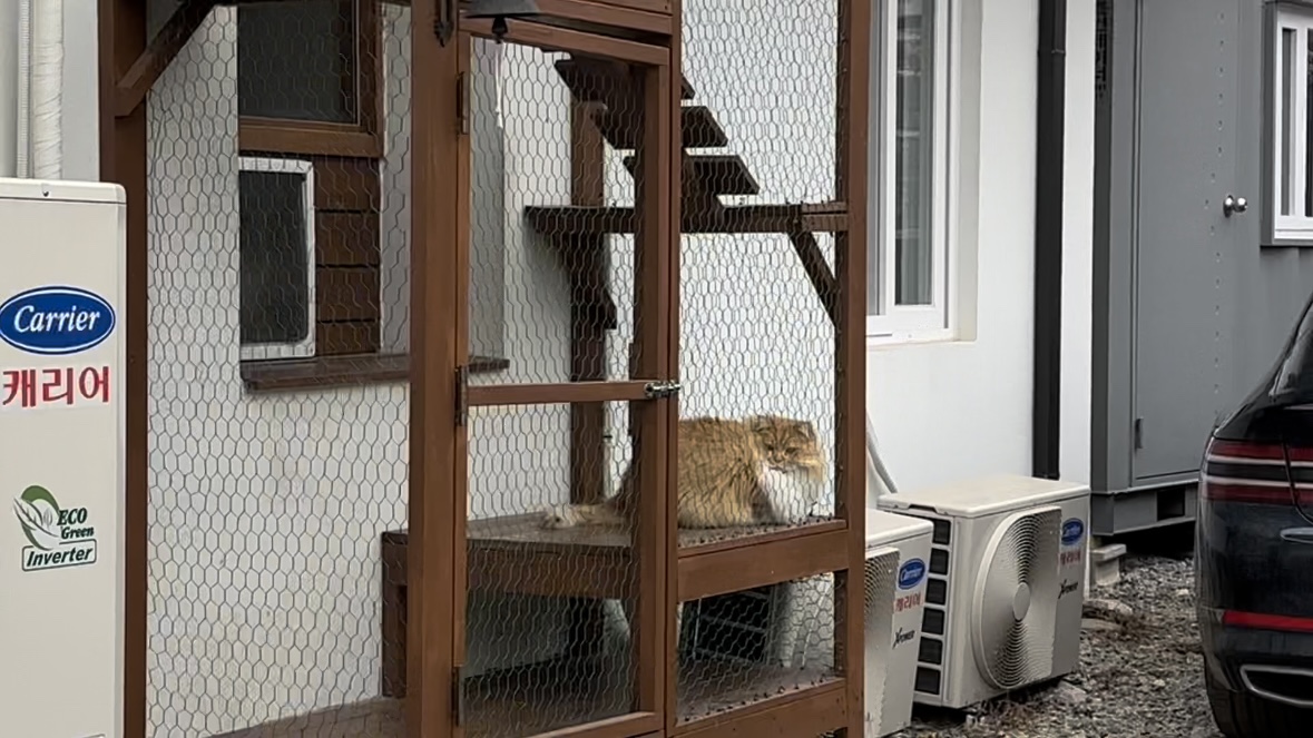 양주카페-목다향