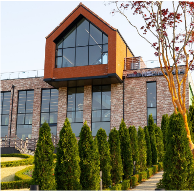 용인 자작나무숲