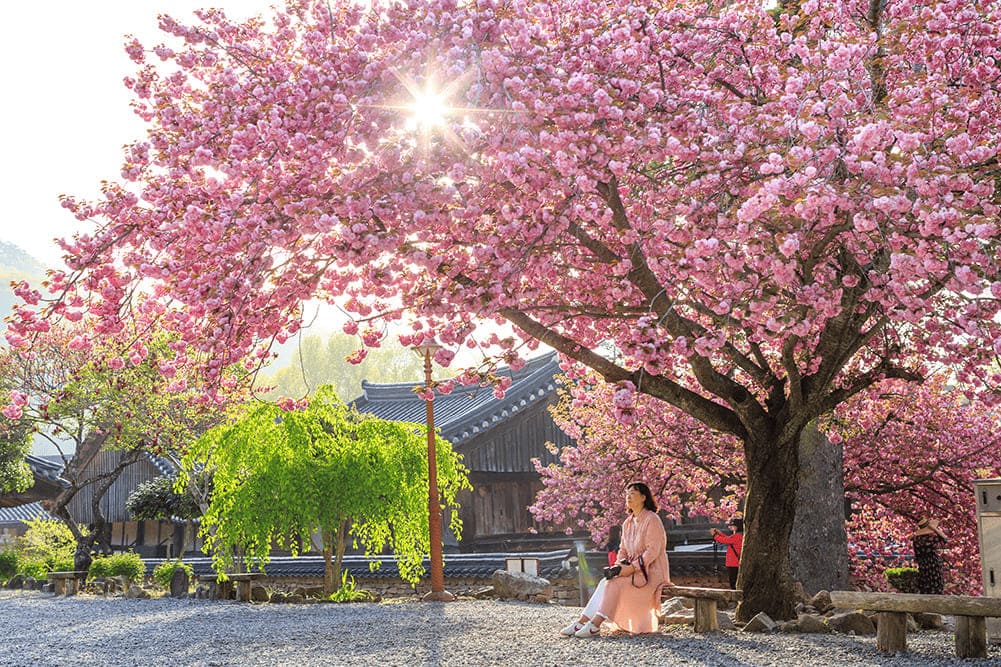 한국불교태고종 선암사