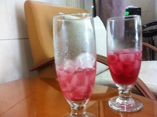 오미자차효능베스트7