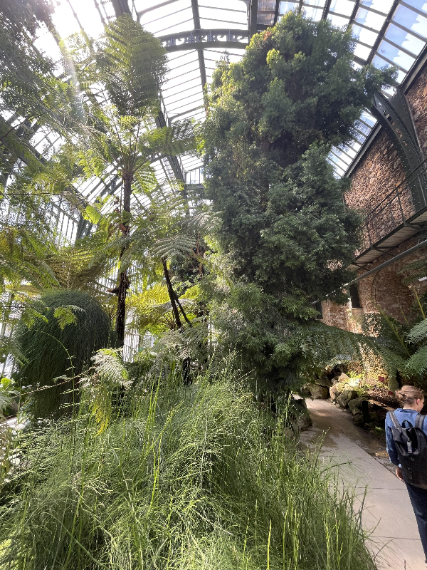 Serre de l'Histoire Des Plantes