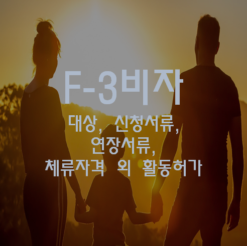 F3 비자