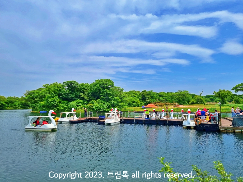 하늘과 물색이 하늘색으로 비슷한데 백조와 오리 배가 떠 다닌다.