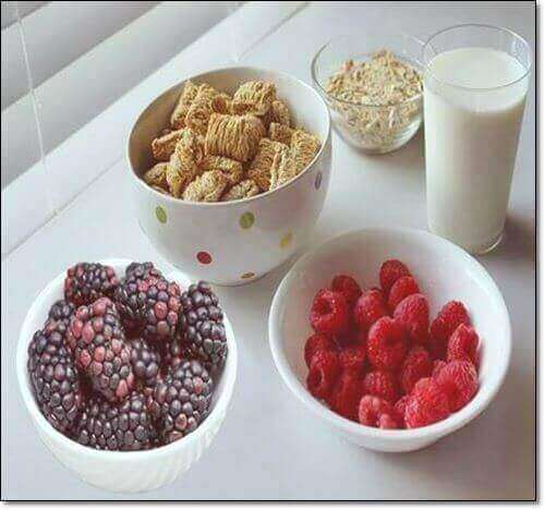 보이젠베리와 라제베리 간식