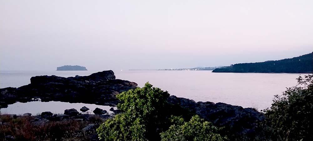 새섬과 새연교