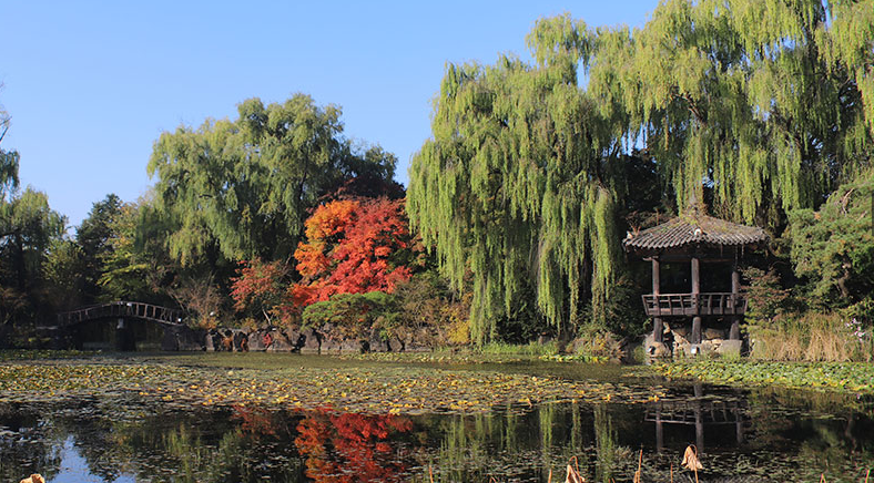 벽초지 가을 단풍