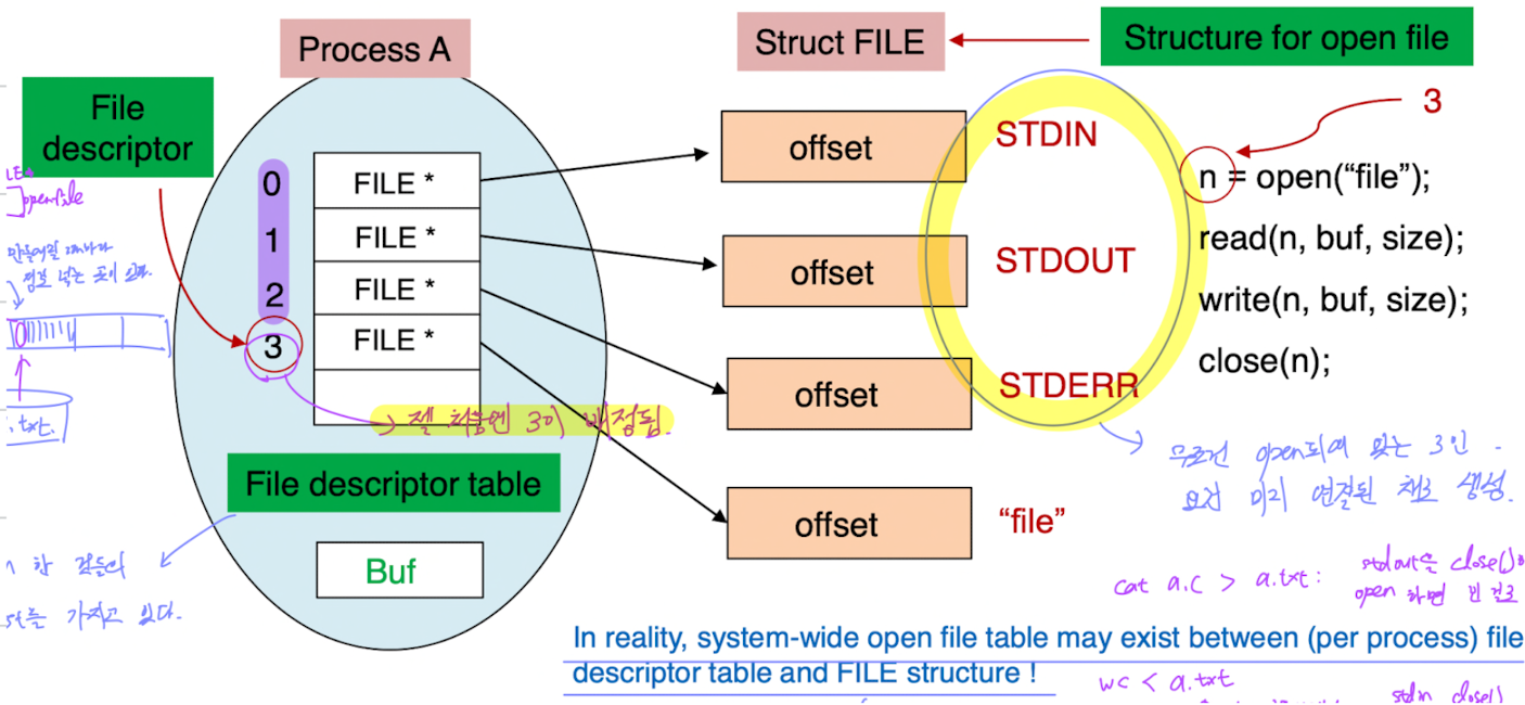 File Descriptor Table 구조
