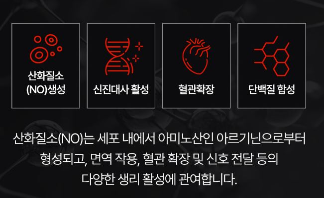 아르기닌의-효능-효과