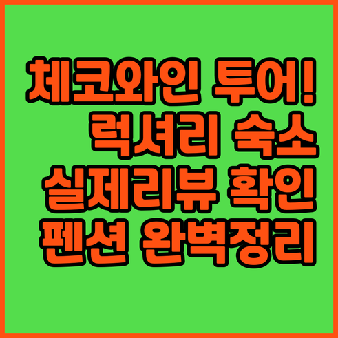 체코 와인 여행을 위한 남부 모라비아..