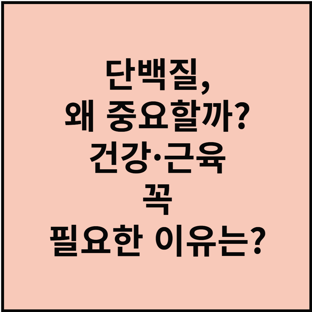 단백질, 왜 중요할까? 건강·근육에 꼭 필요한 이유는?