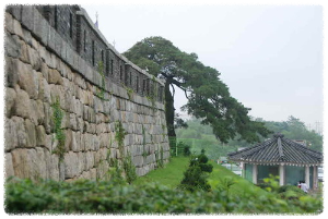 동검도