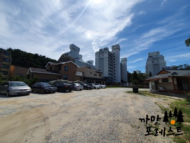 초당 고부 순두부