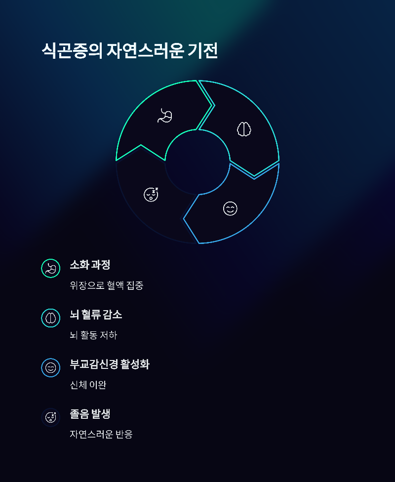 식사를 마친 후 졸음이 쏟아지는 순간, 이는 단순한 식곤증일까요?