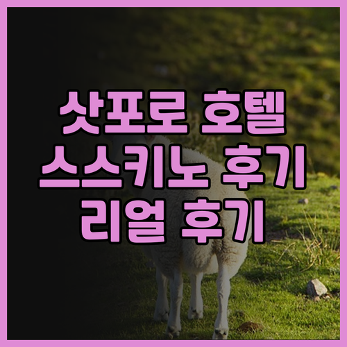 스마일 호텔 프리미엄 삿포로 스스키노