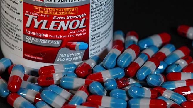 전문가들의 핵심 입장 요약