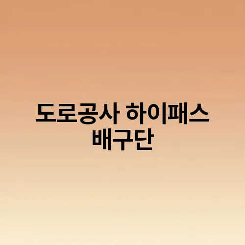 도로공사 하이패스 배구단