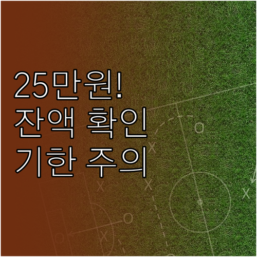 경영안정 바우처 25만원 잔액 확인 ..