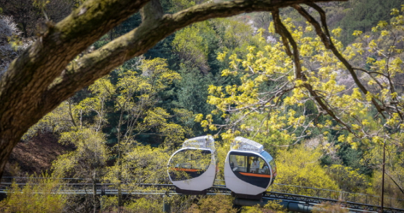 화담숲 사전예약으로 봄맞이 힐링 여행 떠나볼까요?