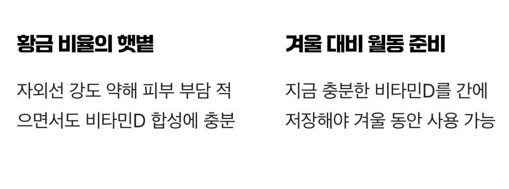 왜 '가을 햇볕'이 보약일까?
